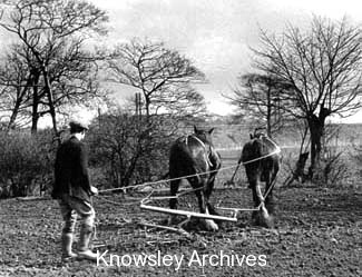 Ploughing the land, Prescot