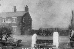 Cronton Stocks