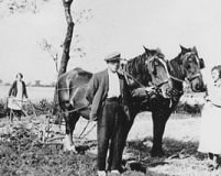 Farming family, Cronton