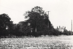 Land around North End House, Halewood