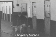 R.S.P.C.A. site, Halewood