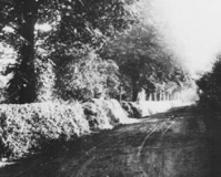 Court Avenue, Halewood