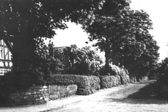 Court Avenue, Halewood