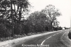 Lydiate Lane, Halewood