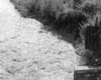 Flooding, Pluckington Farm culvert, Huyton