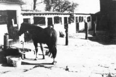 Stables, Mason's smithy, Huyton