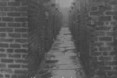 Back alley, Huyton Quarry