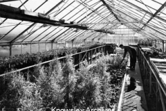 Greenhouse, Central Depot, Kirkby