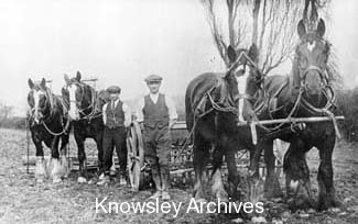 Kirkby farm workers with their horse teams