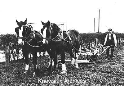 Ploughing on Radshaw Nook Farm, Kirkby