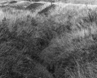 Land around Perimeter Road, Kirkby