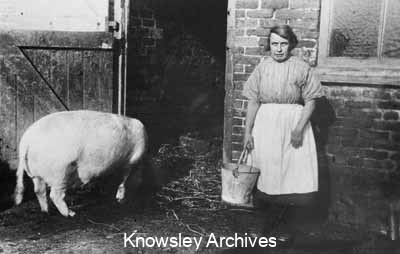 Feeding the pigs, Kirkby