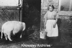 Feeding the pigs, Kirkby