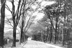 The Avenue, Knowsley Park Estate