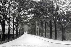 The Avenue, Knowsley Park Estate