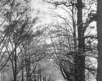 The Avenue, Knowsley Park Estate