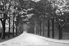 The Avenue, Knowsley Park Estate