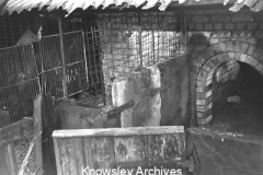 Pigsties, Tincle Peg Cottages, Knowsley