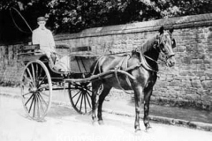 Horse and cart in Church Road, Knowsley