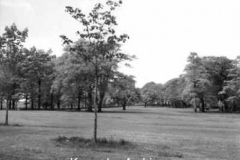 Bowring Park, Roby