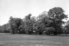 Bowring Park, Roby