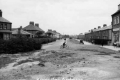 Dinas Lane, Roby